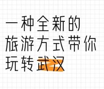一种全新的旅游方式带你玩转武汉
